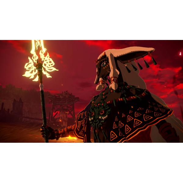 NS2 Hyrule Warriors: Věk uvěznění