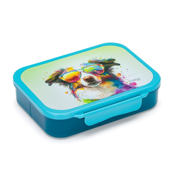 Box na desiatu s priehradkami crazy animals pes