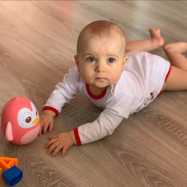 Kývající hračka Baby Mix tučňák růžový