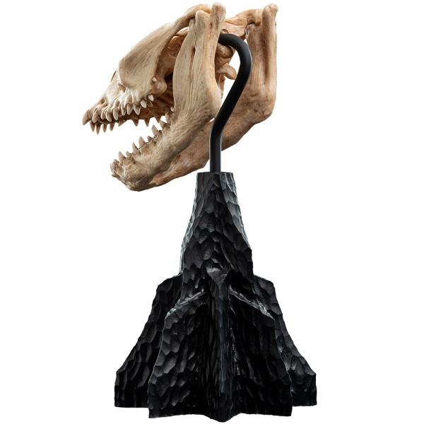 Weta Workshop Lord of the Rings – Lebka padlého zvířete Miniatura