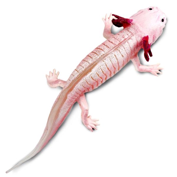 Safari® Axolotl mexický (obrázek 3)