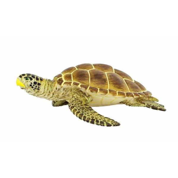 Safari® Korytnačka Kareta obyčajná