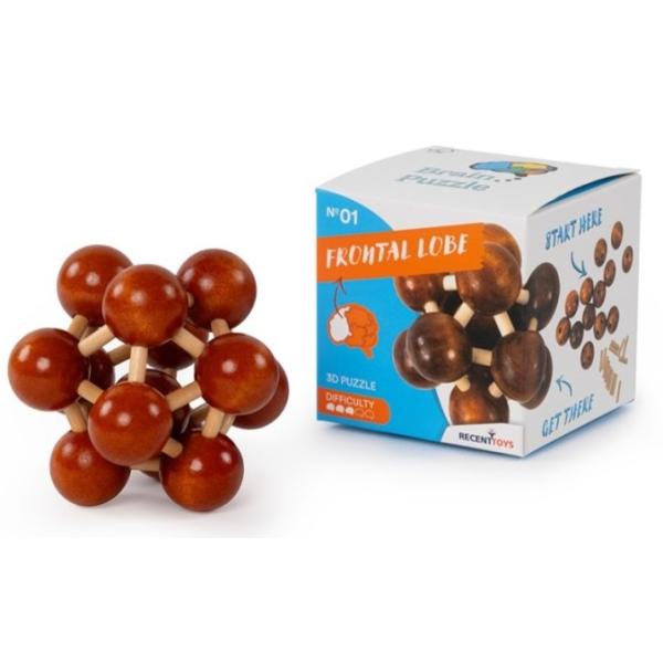 RECENTTOYS Brain Puzzle 1 - lobo frontale