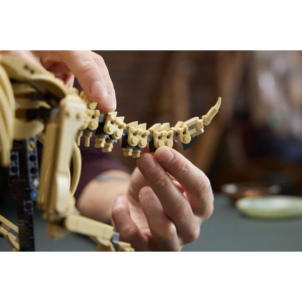LEGO® Jurassic World™ 77985 Dinosauří fosilie: Triceratops (obrázek 9)