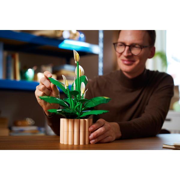 LEGO® Botanicals 11504 Toulcovka (obrázek 7)