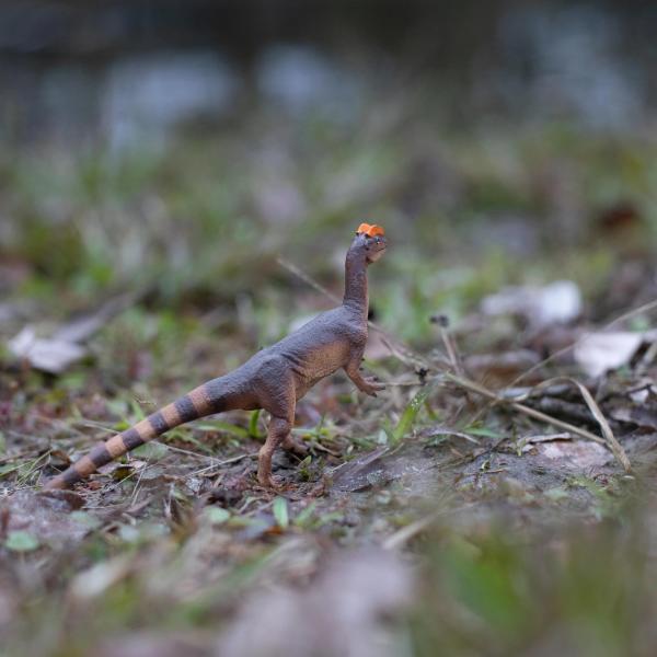 Safari® Dilophosaurus dinosaurus BR