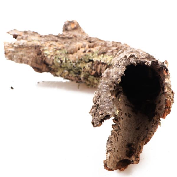 INVITAL Kôra korkového duba M (do O12 cm)