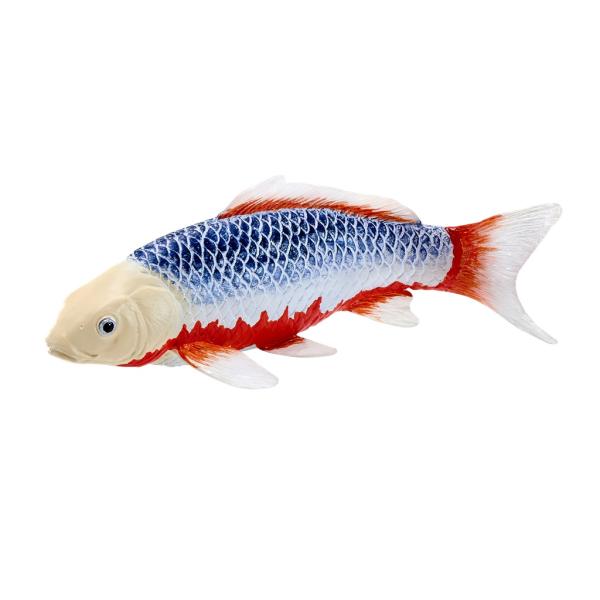 Mojo Kapor koi asagi (obrázek 3)