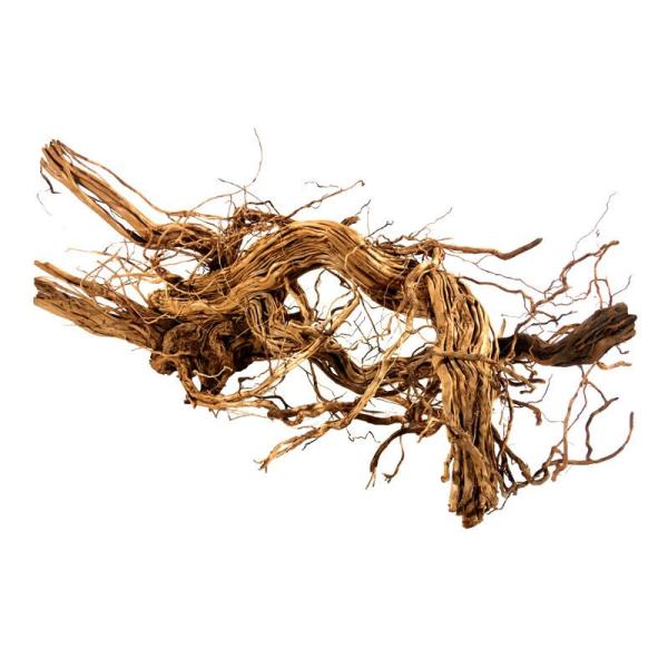 Dragon Wood XXXL 90-120cm 1 kus