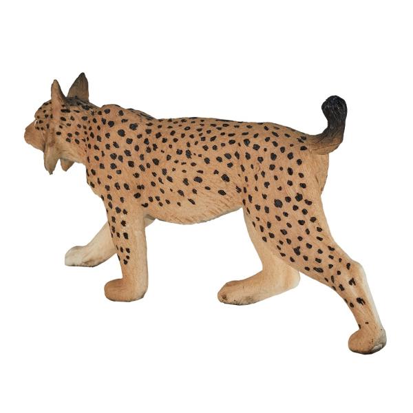 Mojo Rys ostrovid (obrázek 5)