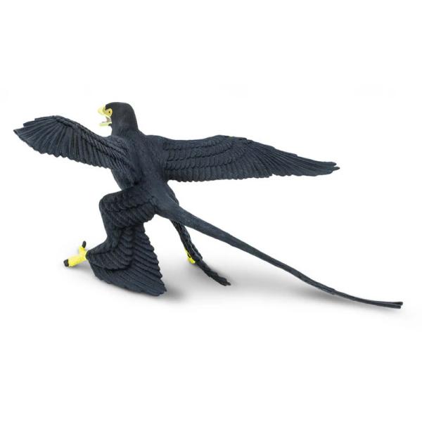 Safari® Microraptor dinosaurus (obrázek 3)