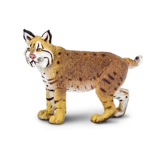 Safari® Lince