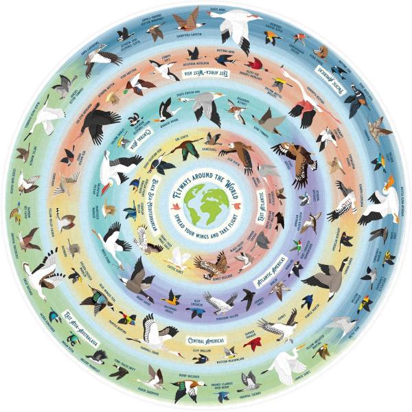 Ridley’s Games Puzzle pro milovníky ptactva 1000 dílků