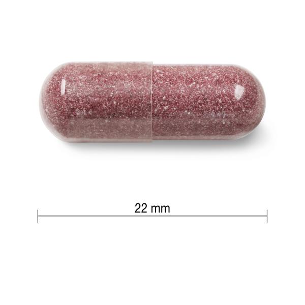 Jamieson Brusinky – komplex 500mg 60 kapslí