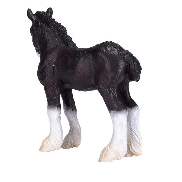 Mojo Shirský kůň hříbě