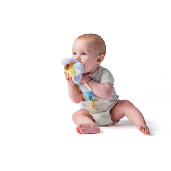 Niny Chrastítko pejsek IPO