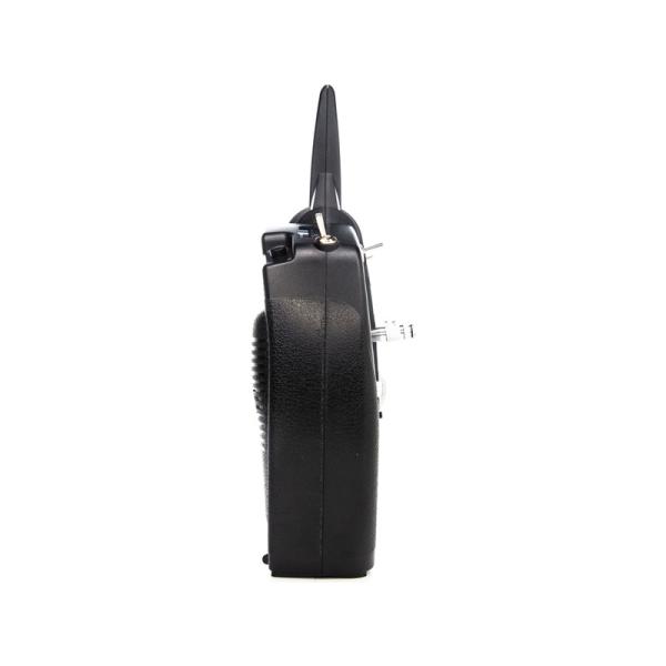 Spektrum DXs DSMX, AR410 (obrázek 9)