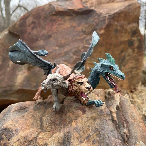 Safari® Chiméra (obrázek 6)