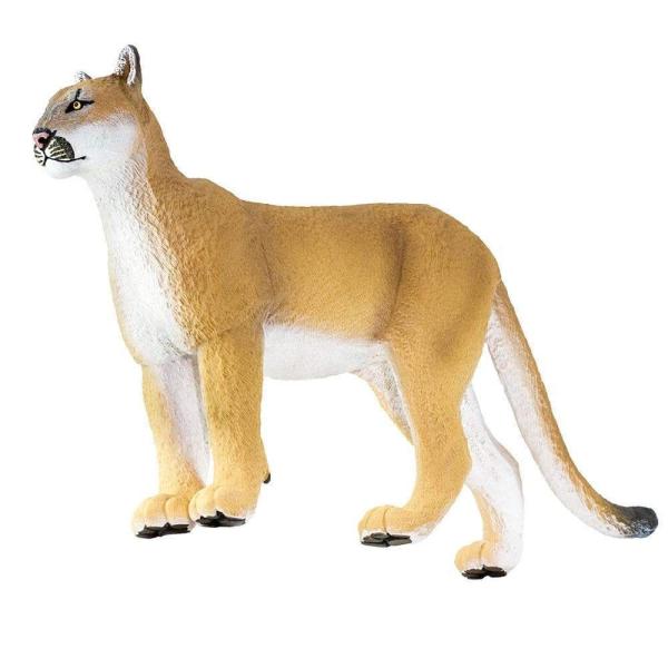Safari® Puma floridská (obrázek 6)