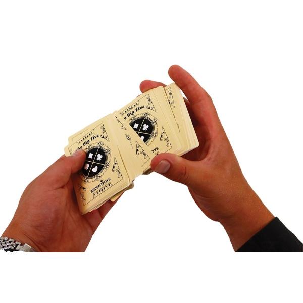 RECENTTOYS The Big Five – Karty