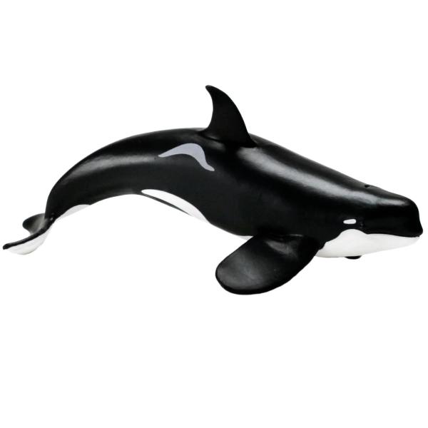 Safari® Orca typ D