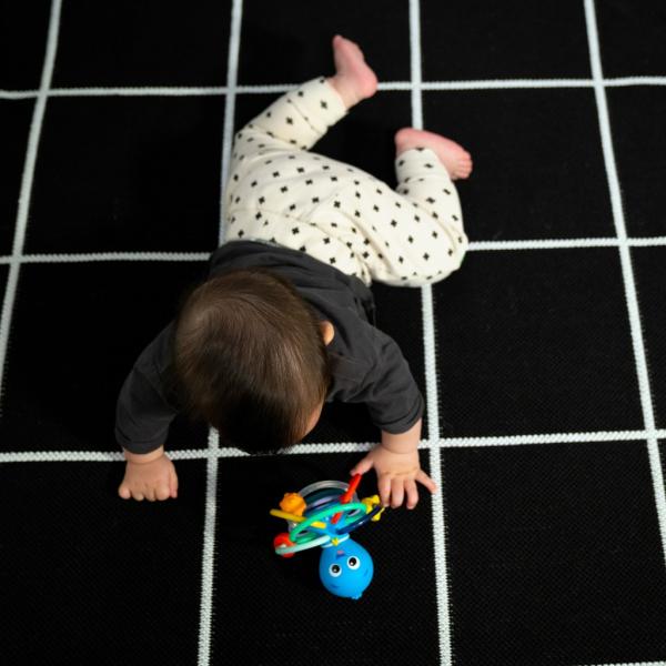 BABY EINSTEIN Kousátko/chrastítko Opus's Shake & Soothe™ 0m+ (obrázek 8)