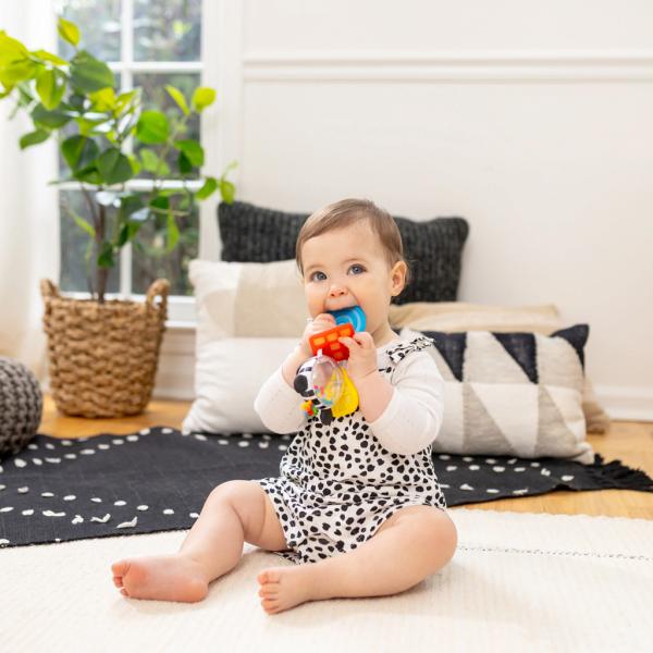 BABY EINSTEIN Kousátko s chrastítkem zebra Zen™ Shake-a-Shape bez BPA 0m+ (obrázek 7)