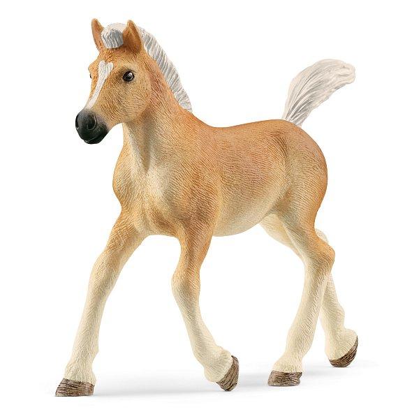 Schleich Haflingerské hříbě