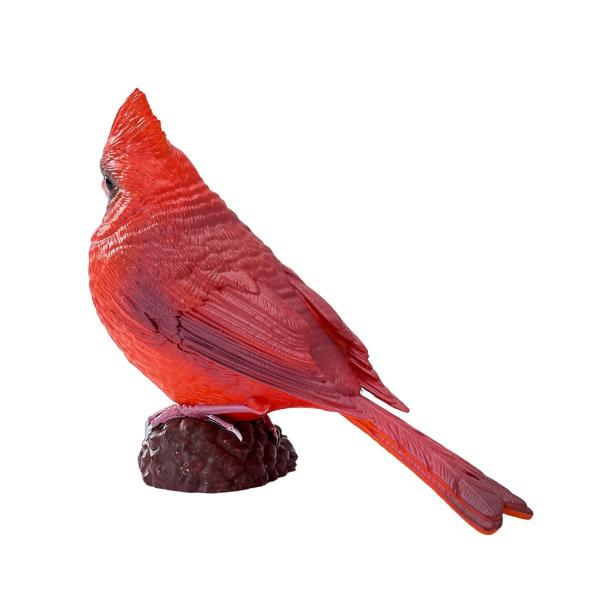 Můj Kardinál červený