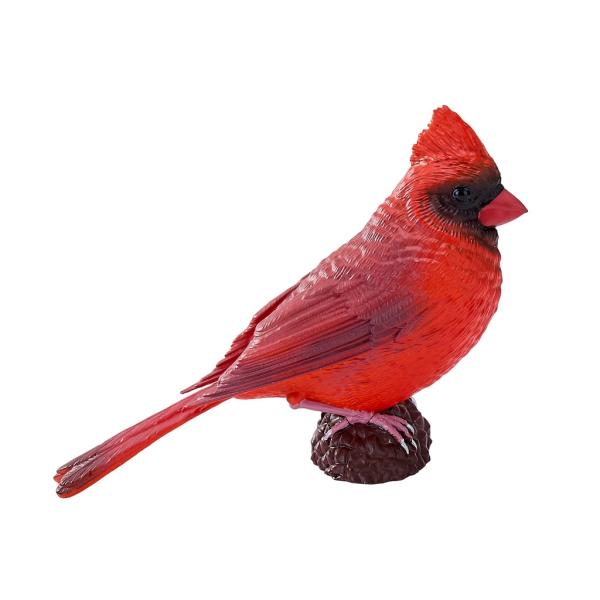 Můj Kardinál červený