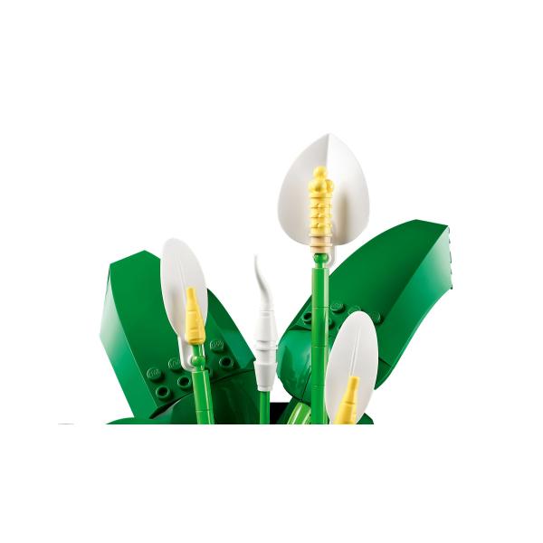 LEGO® Botanicals 11504 Toulcovka (obrázek 4)