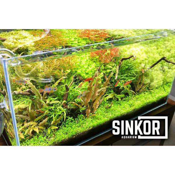 Sinkor LED II 15 cm WRB 5W s Wifi LED Control (obrázek 5)