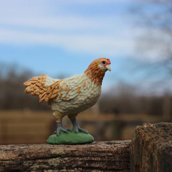 Safari® Slepice Ameraucana (obrázek 5)