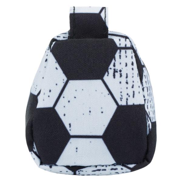 BAAGL Studentský pouzdro Goal