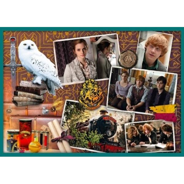 Trefl Puzzle 10v1 - Ve světě Harryho Pottera (obrázek 3)