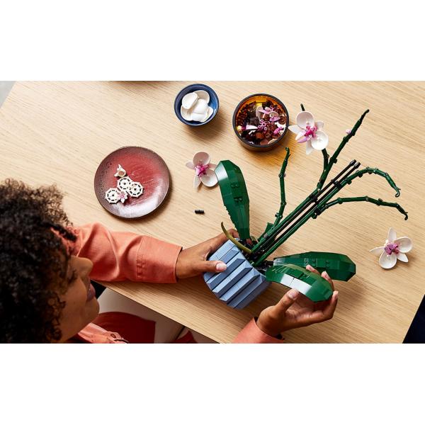 LEGO® Icons 10311 Orchidej