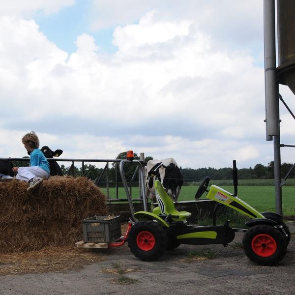 BERG CLAAS XXL-BFR (obrázek 7)