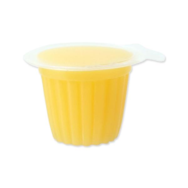Krmivo Repti Planet Jelly Pots Fruit 8ks (obrázek 4)