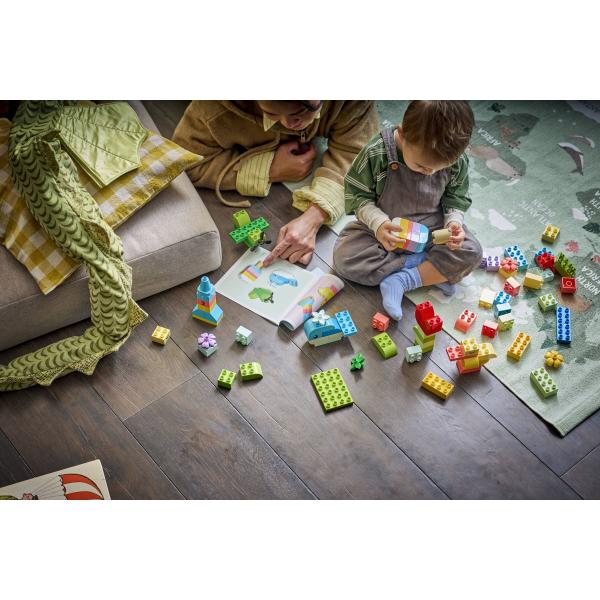 LEGO® DUPLO® 10479 Barevný kreativní box s kostkami (obrázek 10)