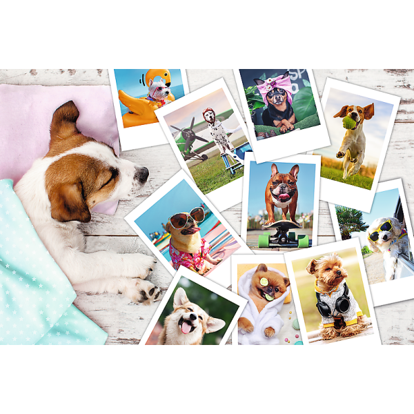 Trefl Puzzle 300 – Fotky z dovolené