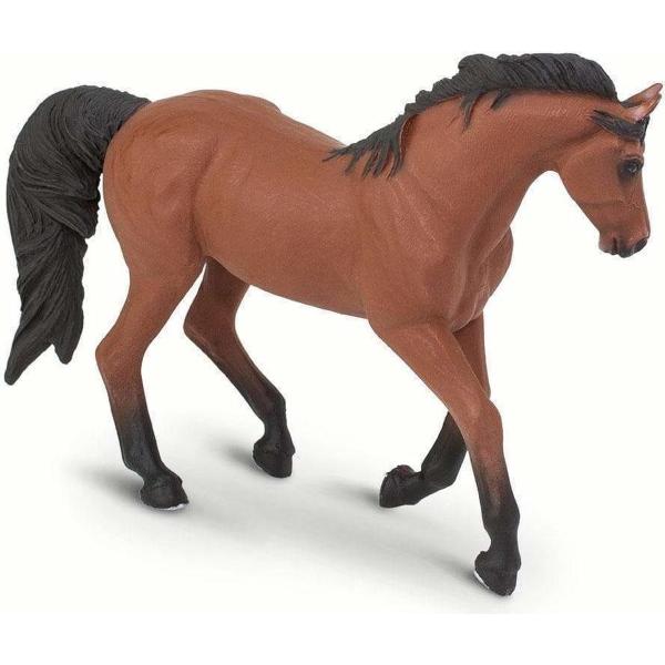 Safari®Morganská kobyla