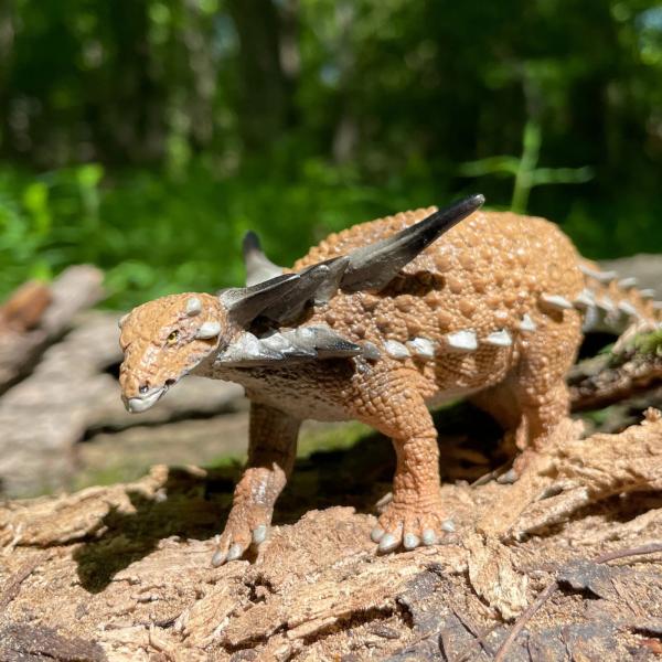 Safari® Sauropelta dinosaurus (obrázek 6)