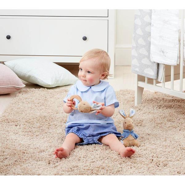 Rainbow Chrastítko králíček Petr (obrázek 5)