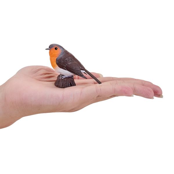 Moje Červenka obecná