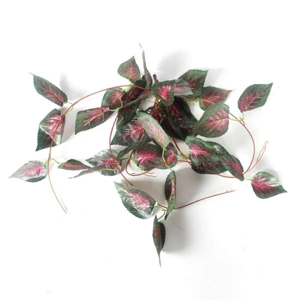 Závěsná rostlina pro terárium tmavě červená