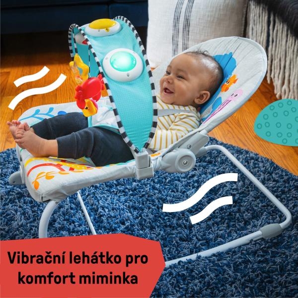 BABY EINSTEIN Lehátko hudební vibrační Kick to It Opus do 18kg (obrázek 9)