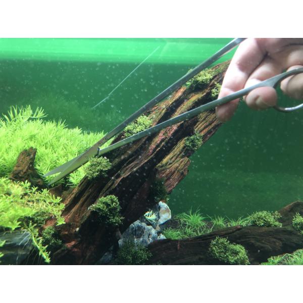 Nůžky zahnuté 30 cm (obrázek 4)