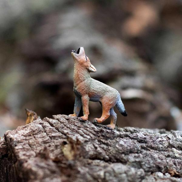 Safari® Kojot mládě (obrázek 7)