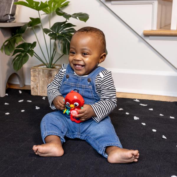 BABY EINSTEIN Hračka hudební senzorická Roxy’s Bright Flight™ 3m+