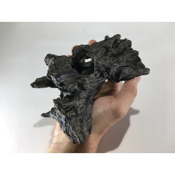 UP Aqua dutý kořen L (obrázek 4)